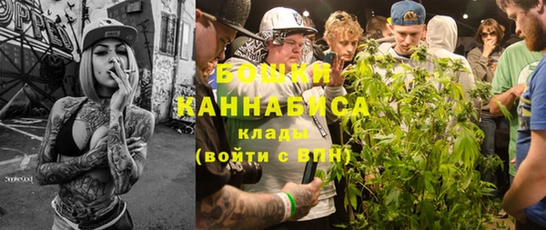 дурь Вяземский