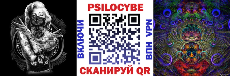 Псилоцибиновые грибы мицелий цена Буинск